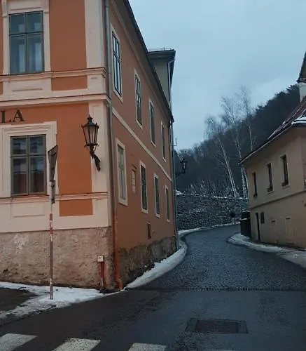 Okamih 펜션 Banská Štiavnica